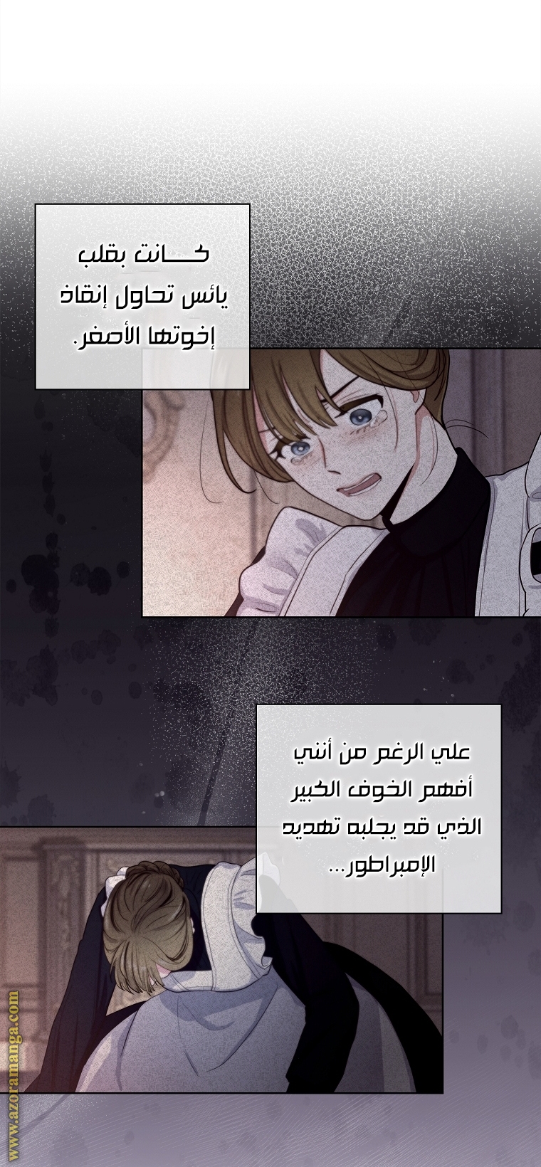الصفحة 25