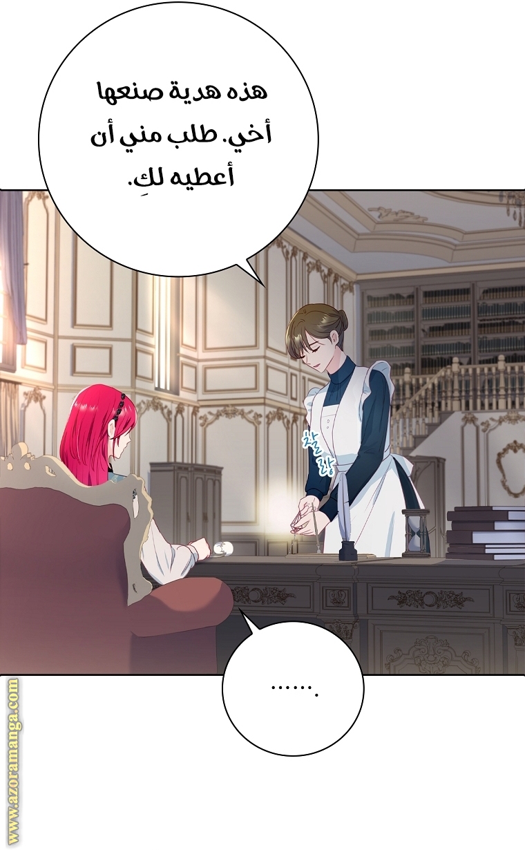 الصفحة 29