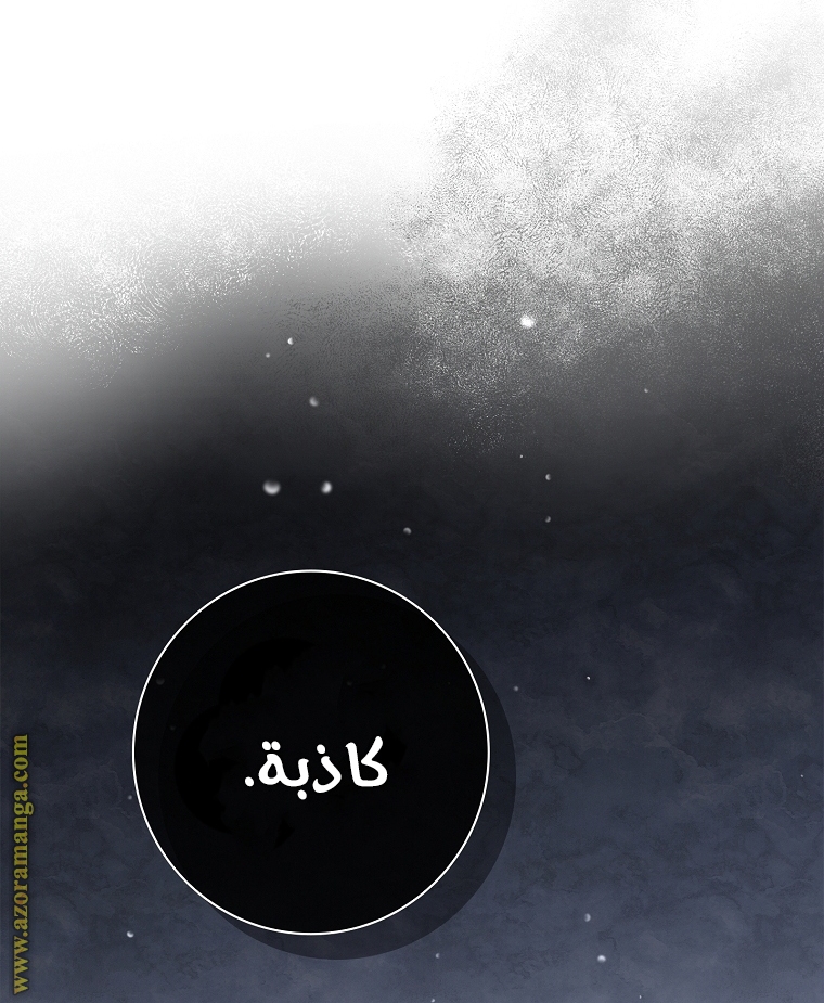 الصفحة 38