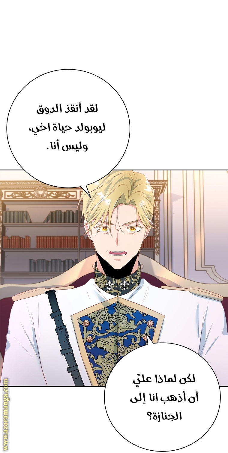 الصفحة 43
