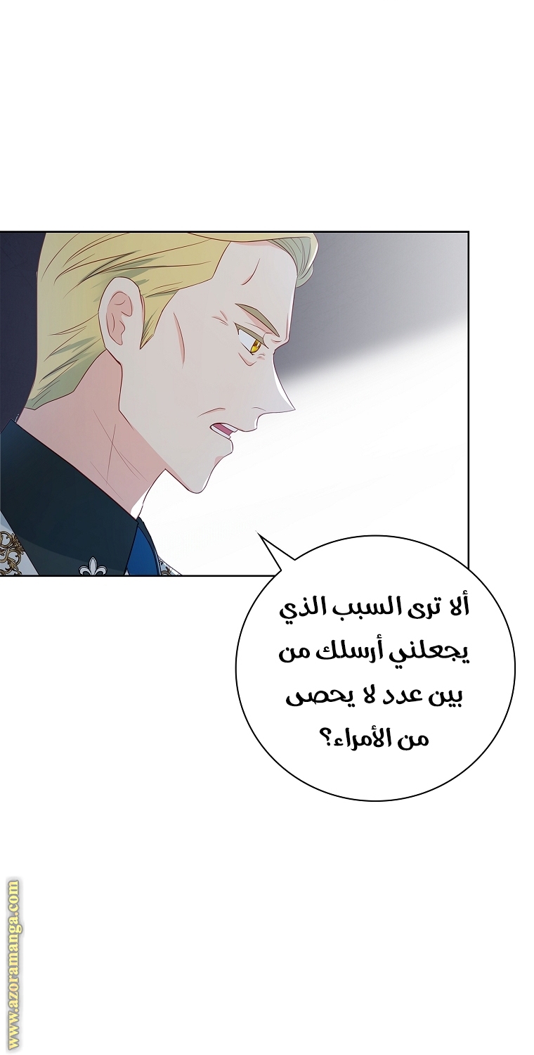 الصفحة 45