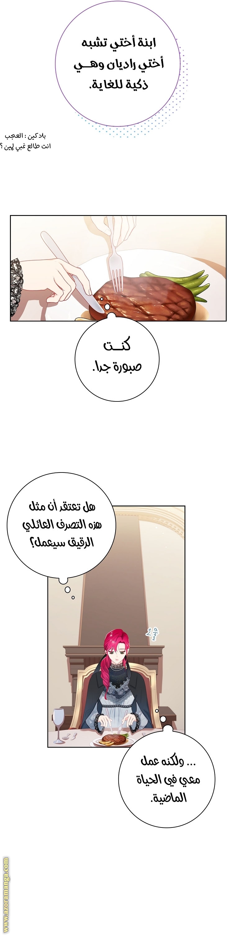 الصفحة 24