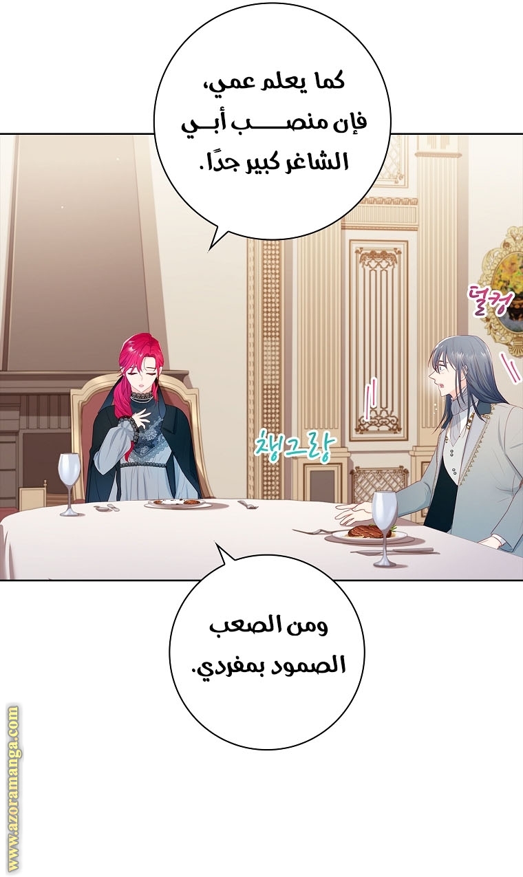 الصفحة 29