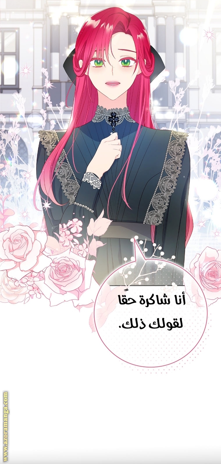 الصفحة 25