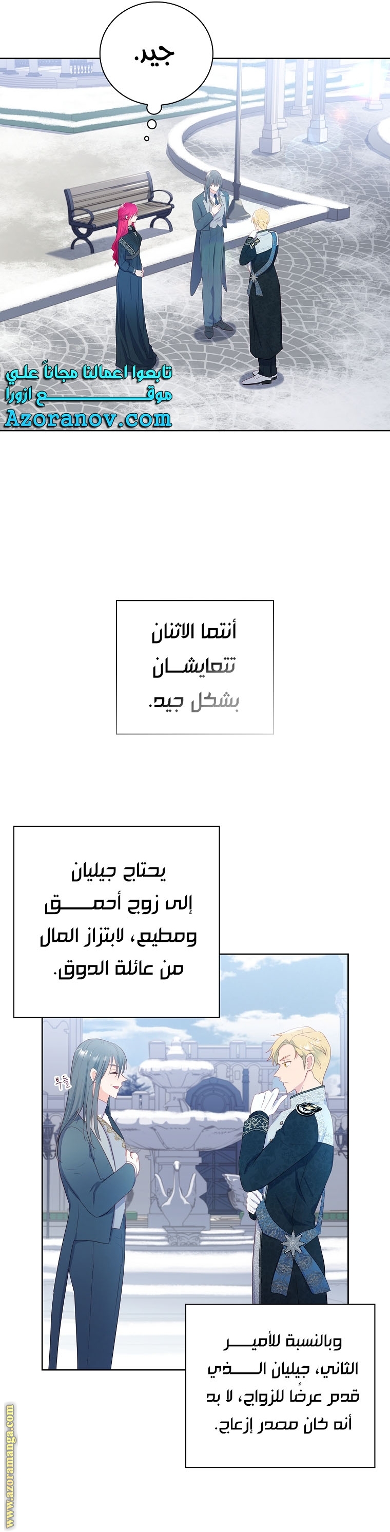 الصفحة 29