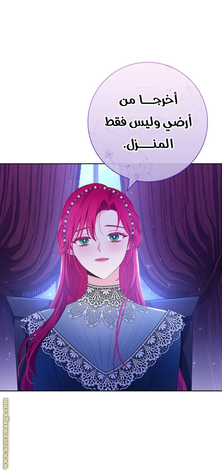 الصفحة 25