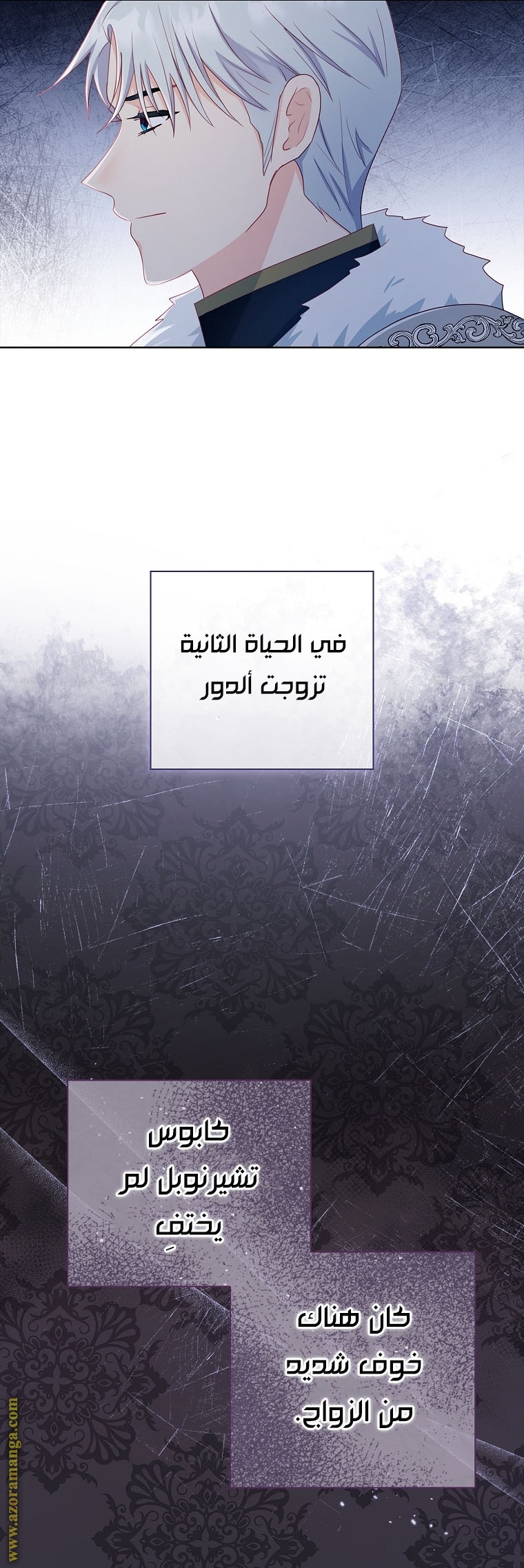 الصفحة 8
