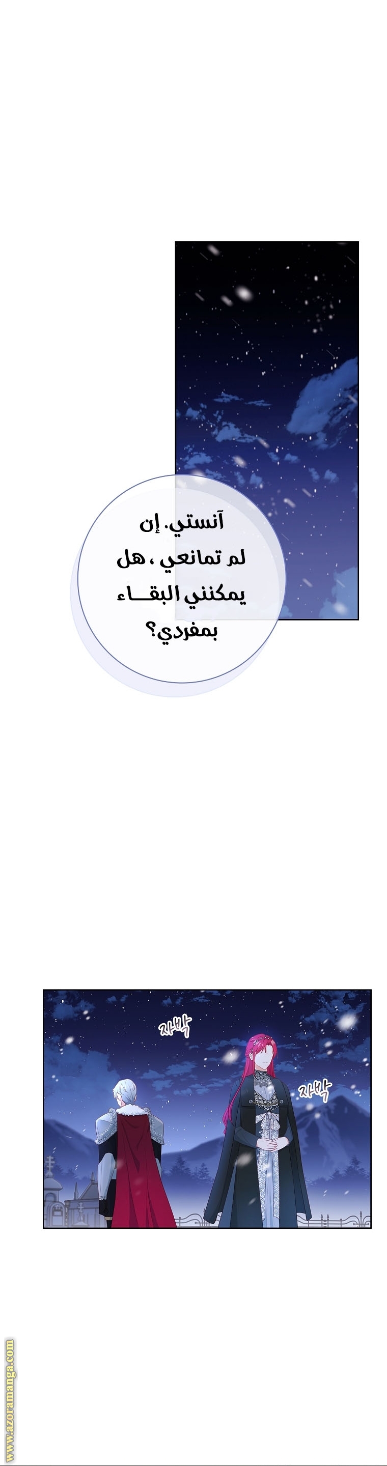 الصفحة 13