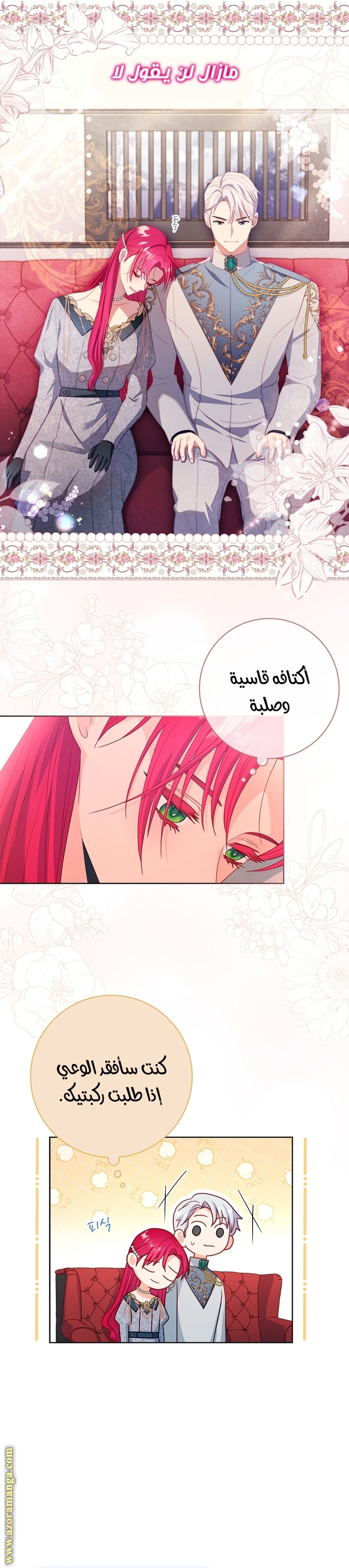 الصفحة 14