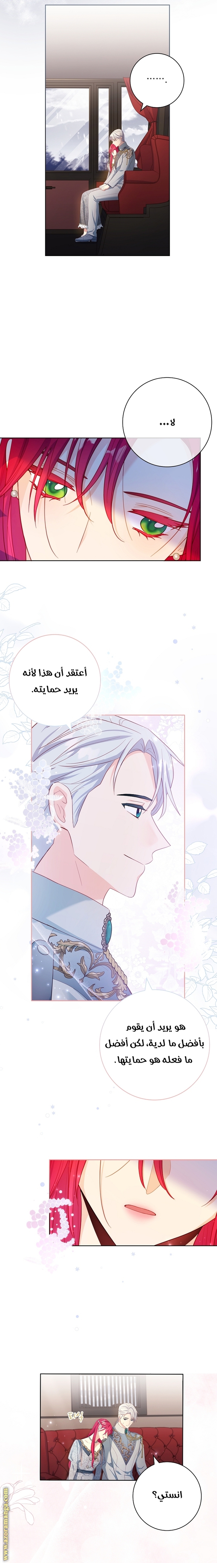 الصفحة 17