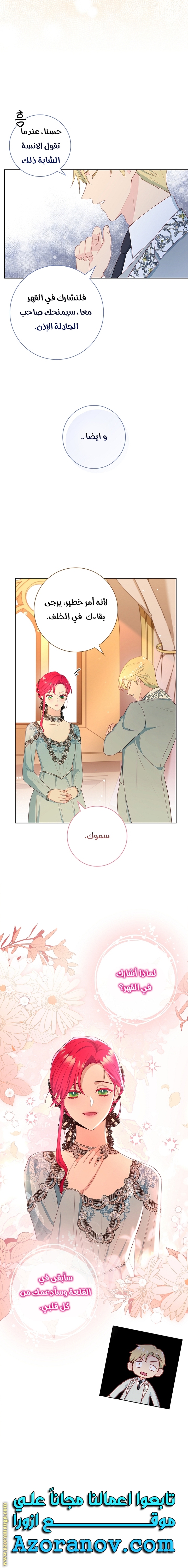 الصفحة 17