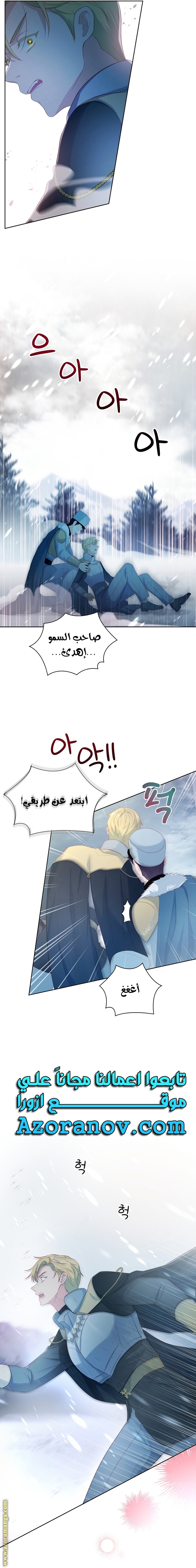 الصفحة 11