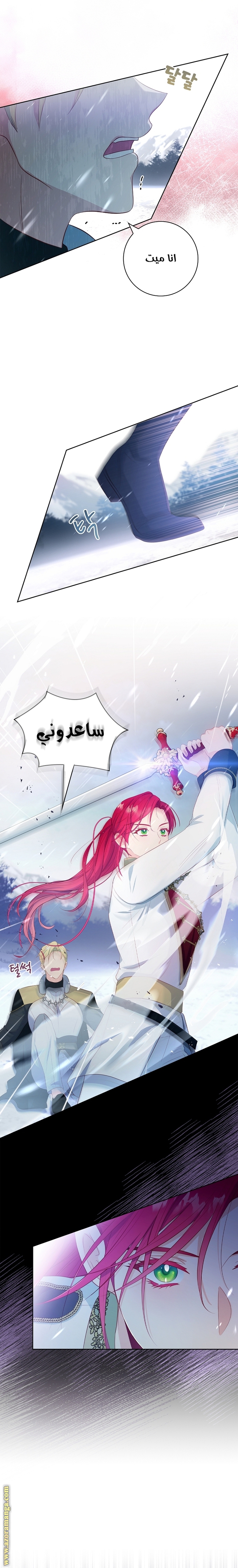 الصفحة 13