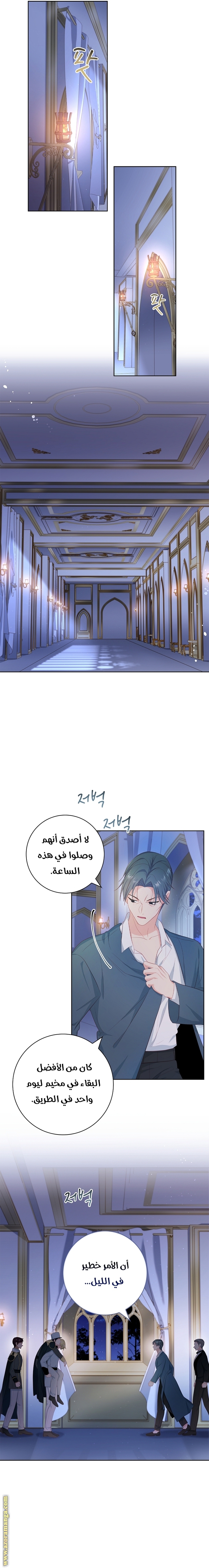 الصفحة 17