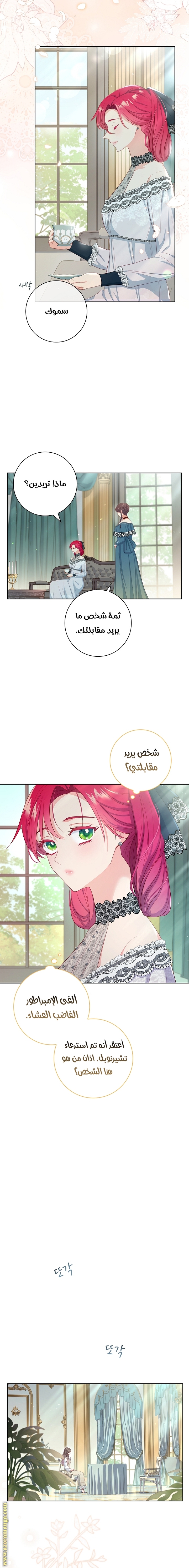 الصفحة 14