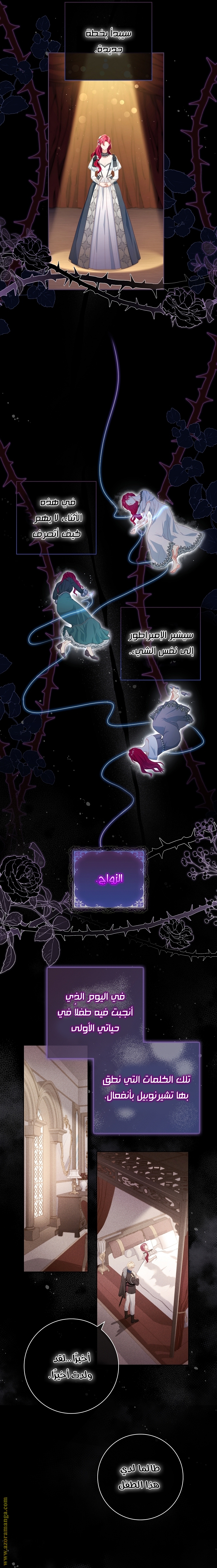 الصفحة 14