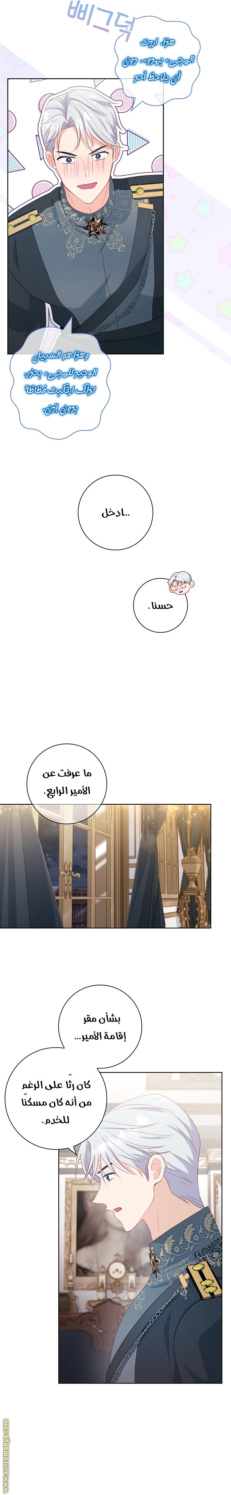 الصفحة 17