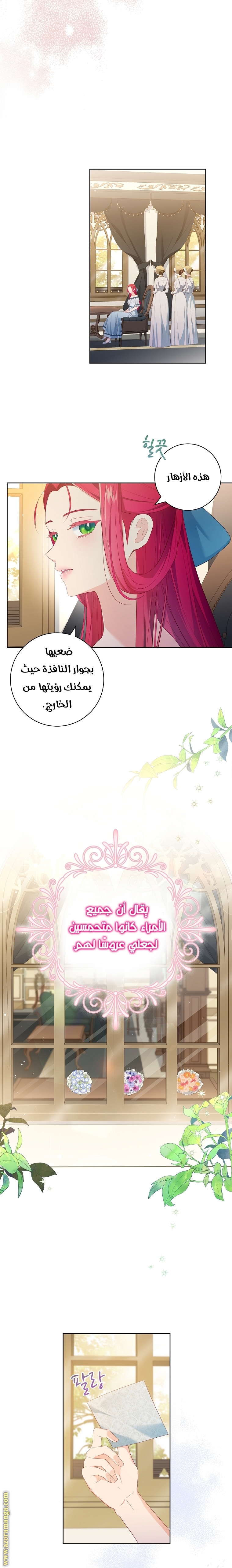 الصفحة 17