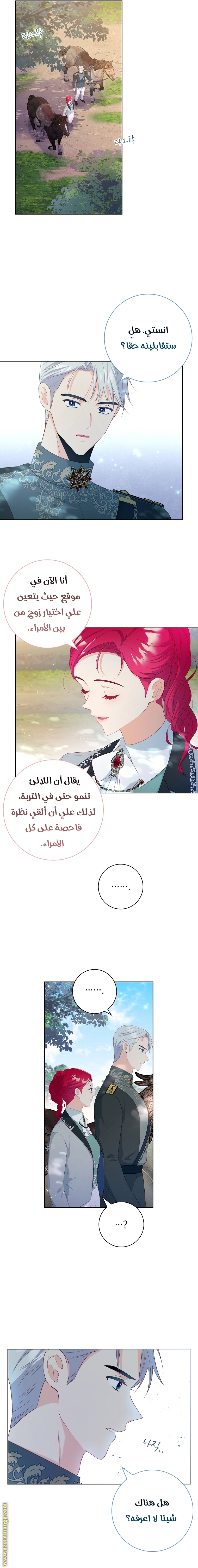 الصفحة 2