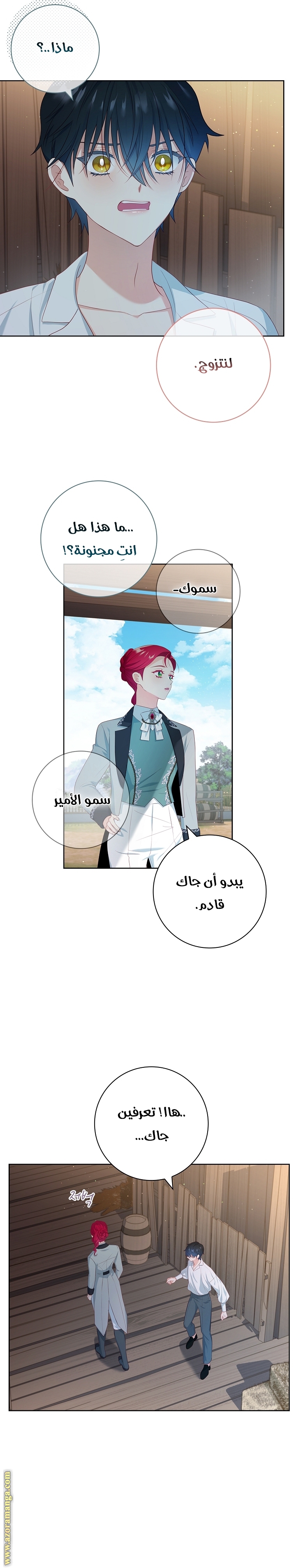 الصفحة 12