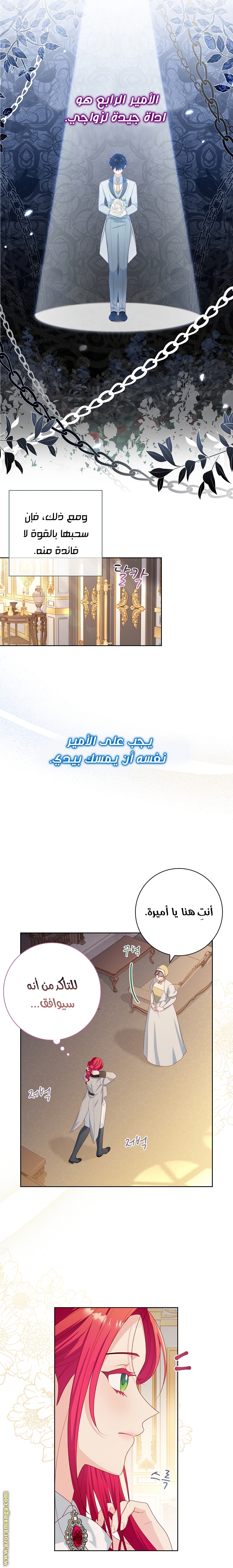 الصفحة 17