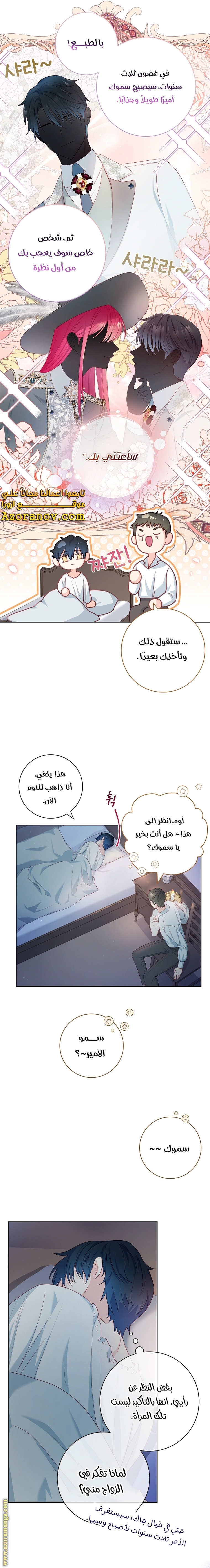 الصفحة 17