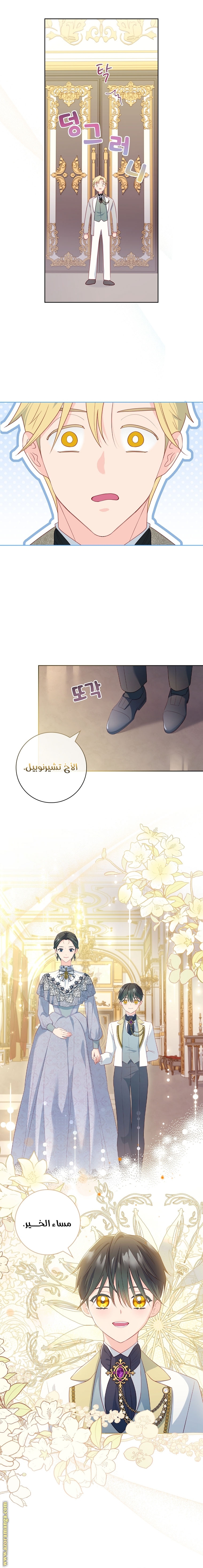 الصفحة 12