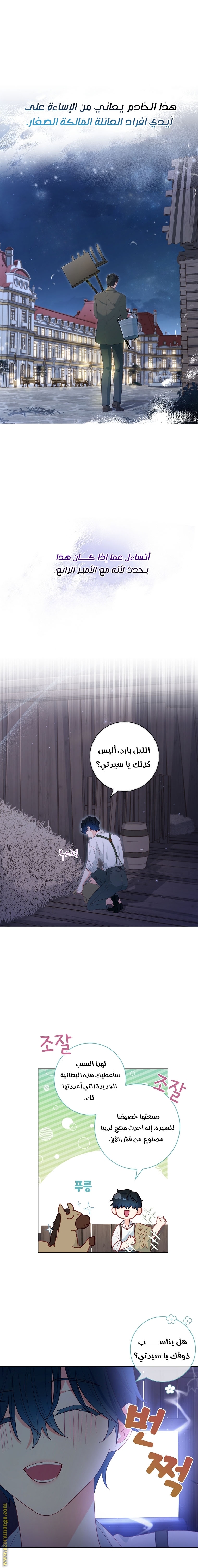 الصفحة 17