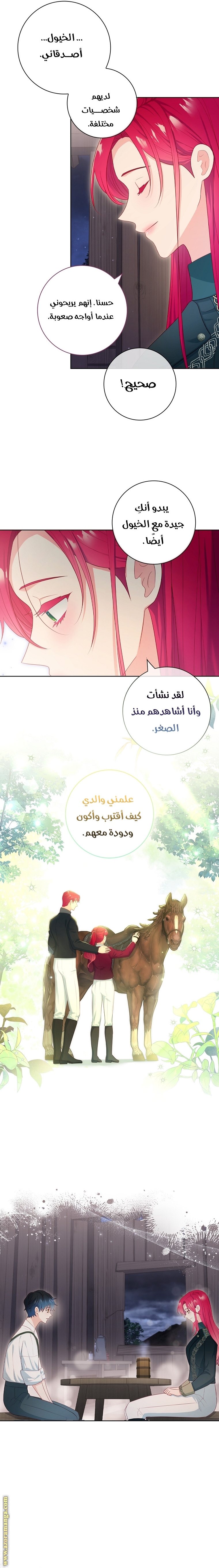 الصفحة 5