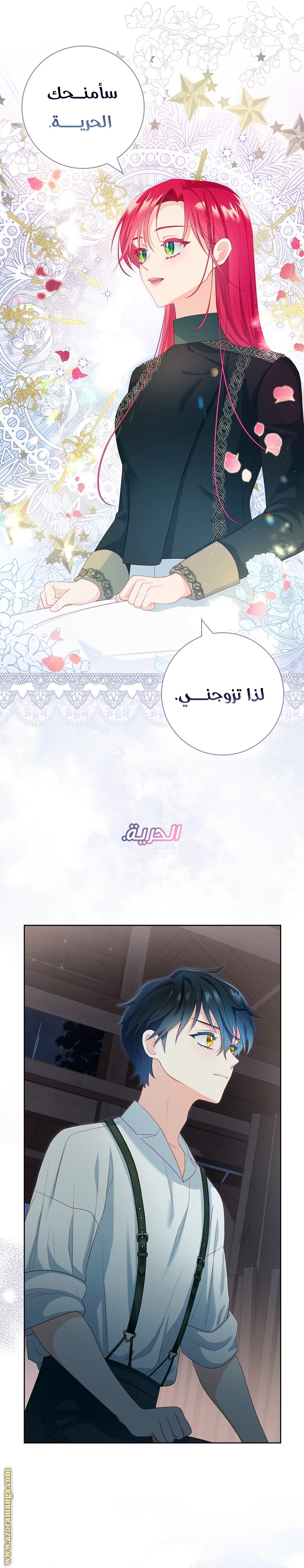 الصفحة 11