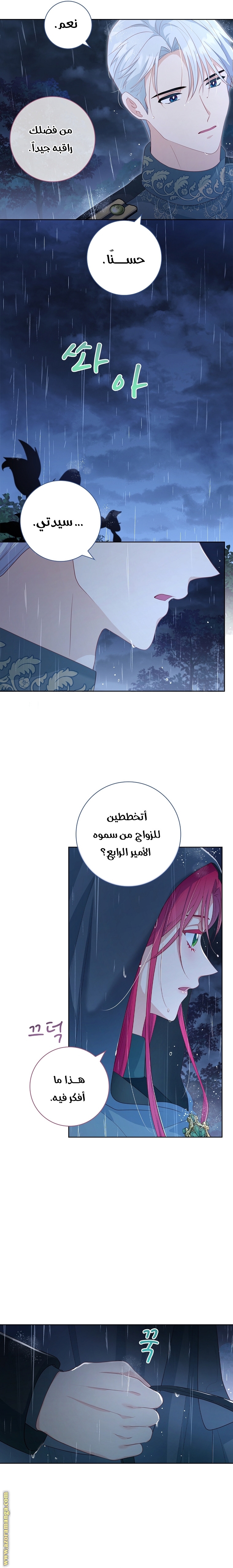 الصفحة 17