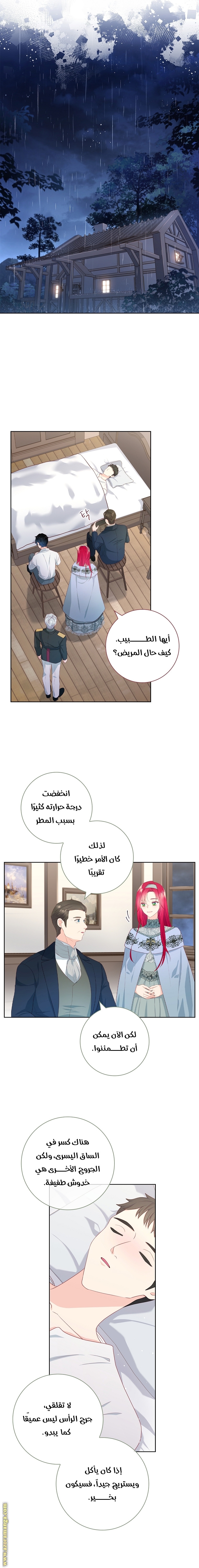 الصفحة 14