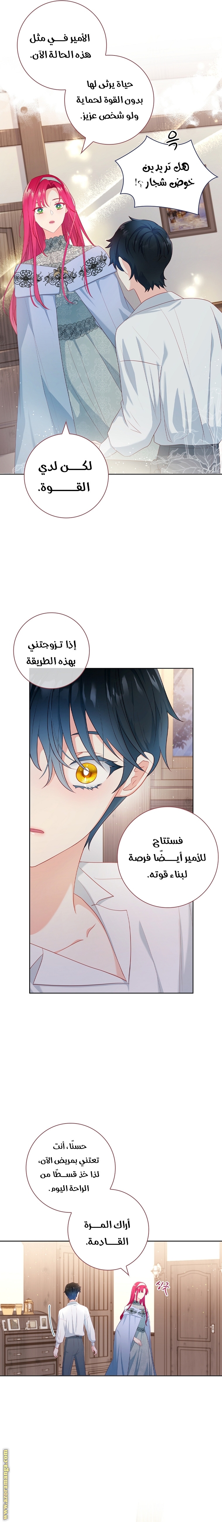 الصفحة 19