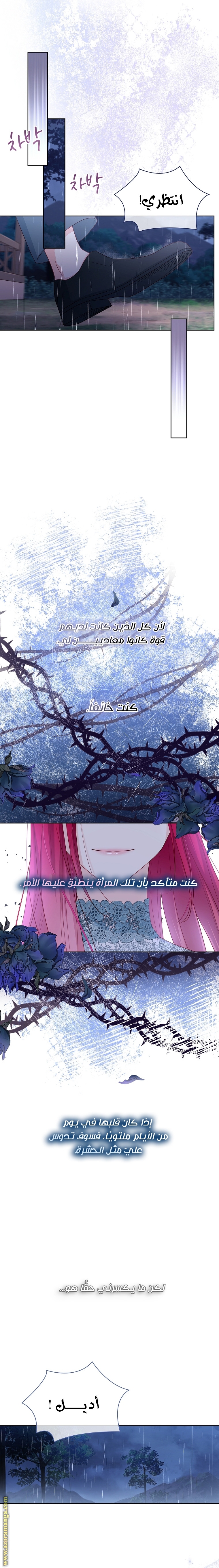 الصفحة 21