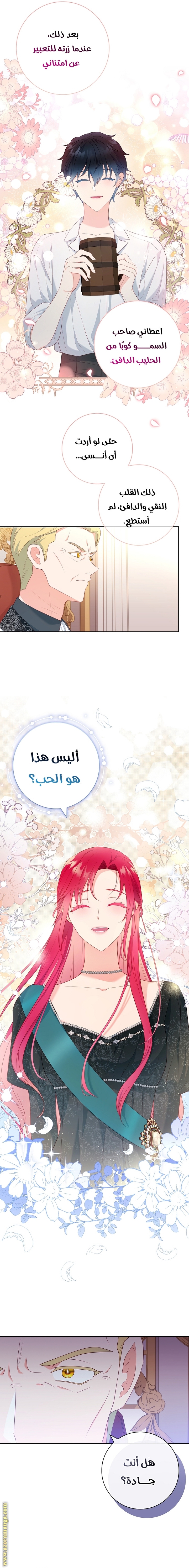 الصفحة 17