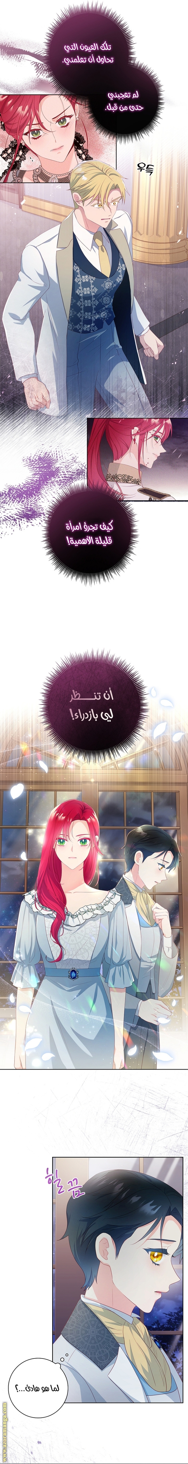 الصفحة 11