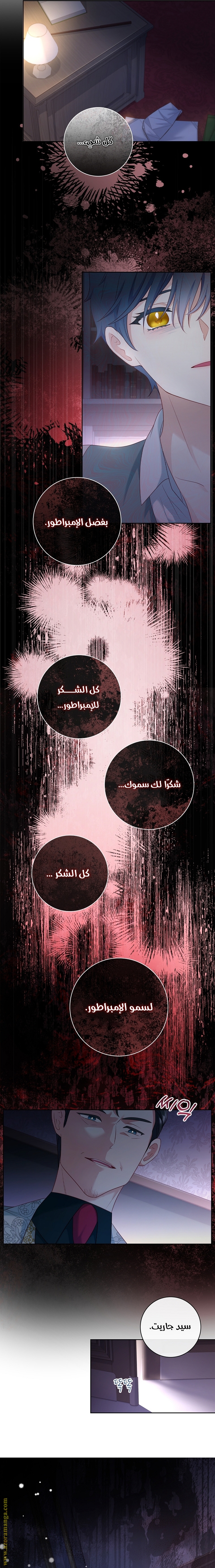 الصفحة 13