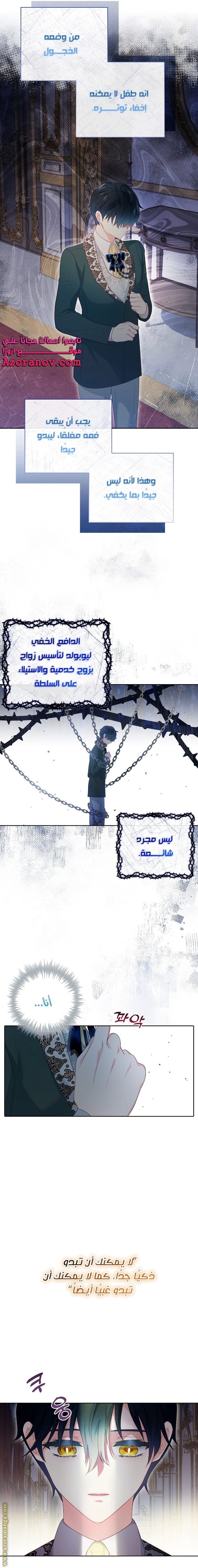 الصفحة 16
