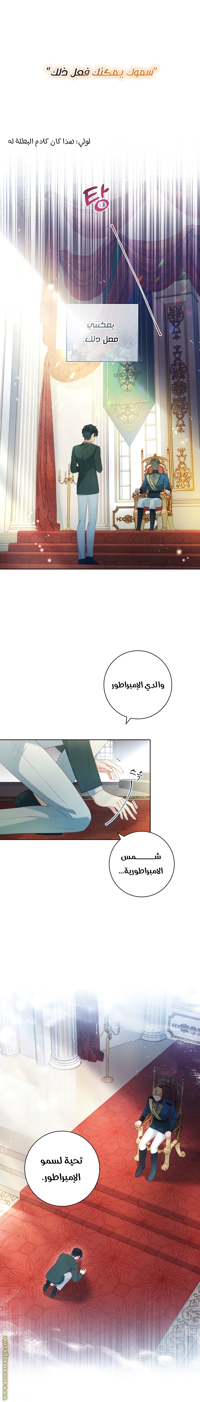 الصفحة 17