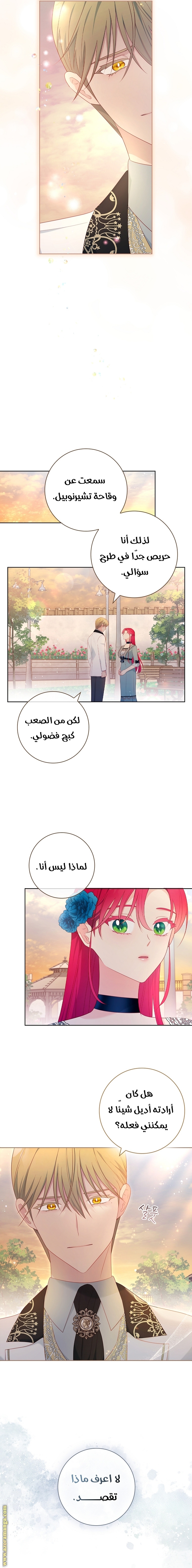 الصفحة 10
