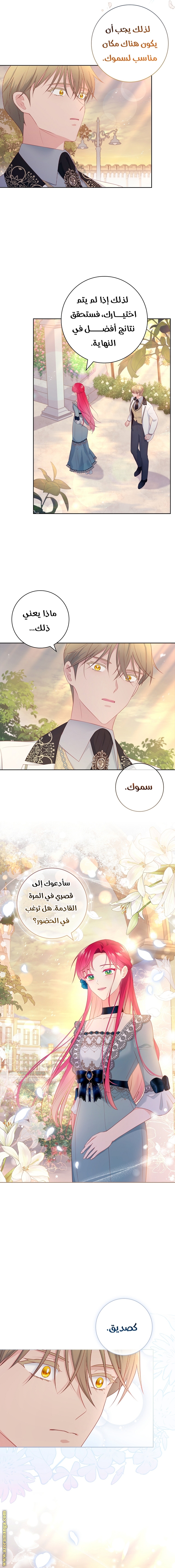 الصفحة 15