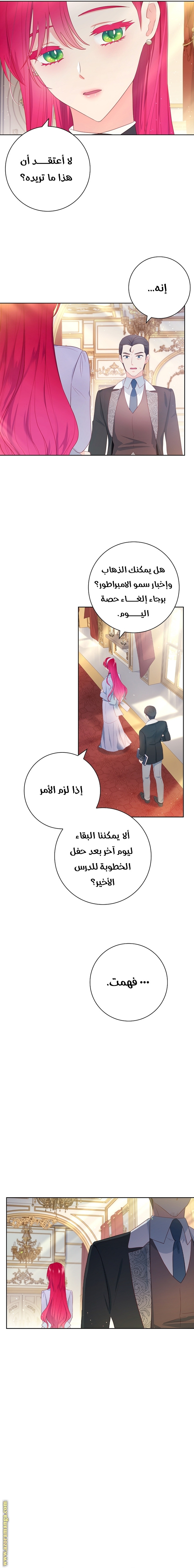 الصفحة 3