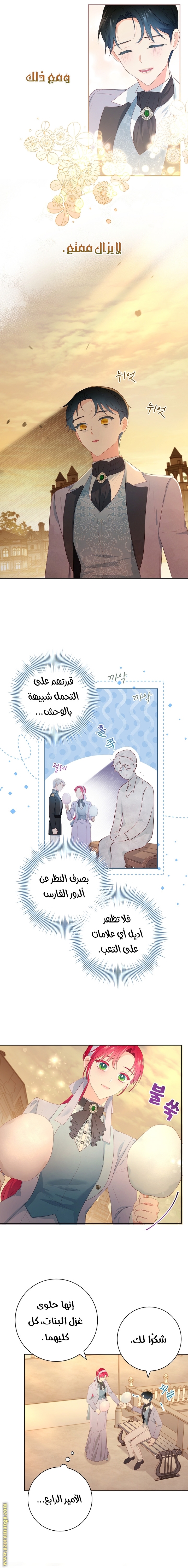 الصفحة 11