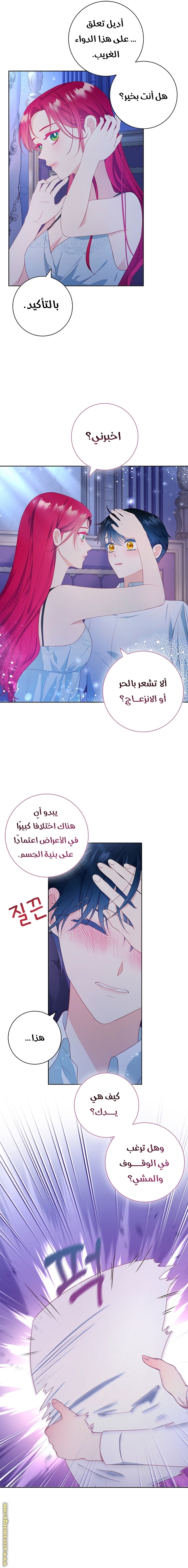الصفحة 12