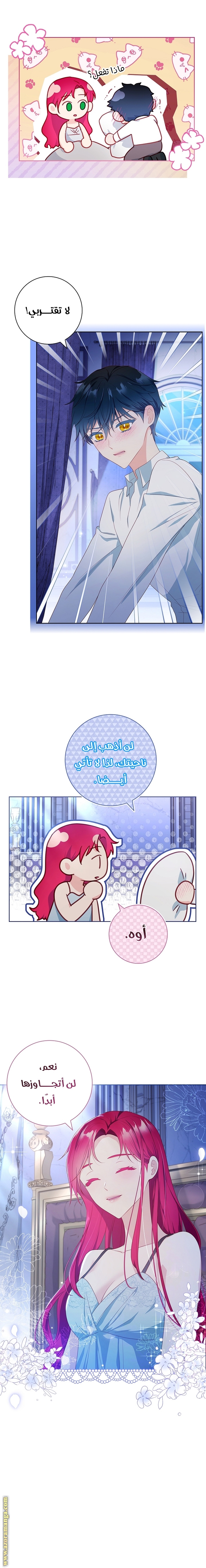 الصفحة 13