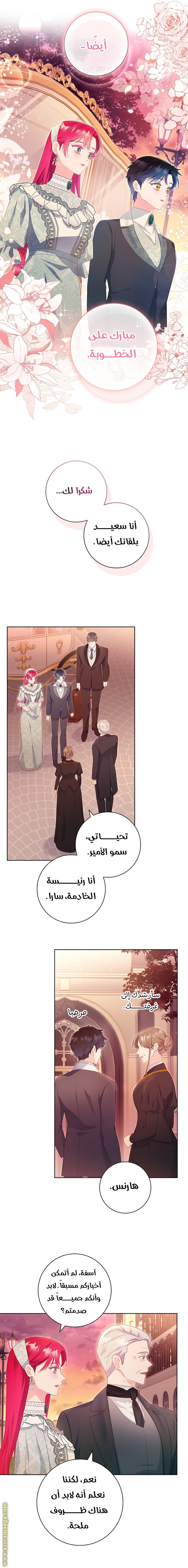 الصفحة 14