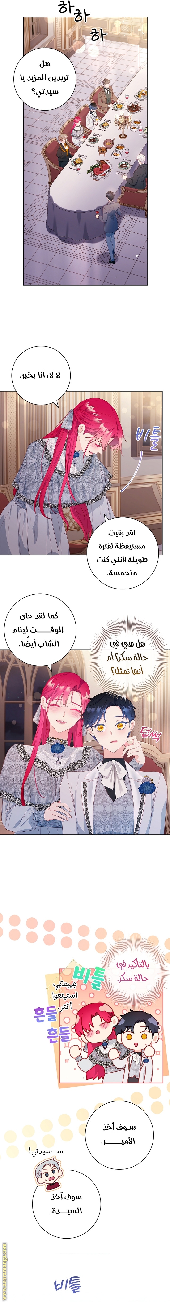 الصفحة 16