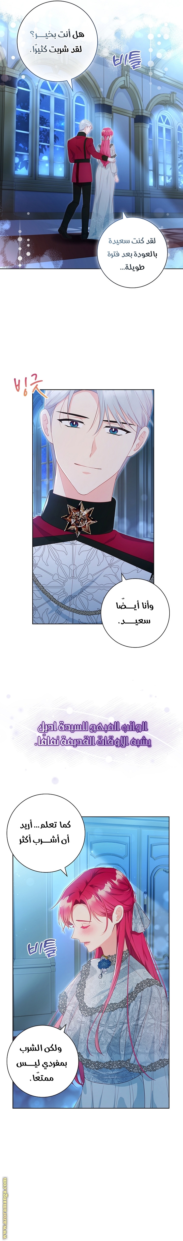 الصفحة 17