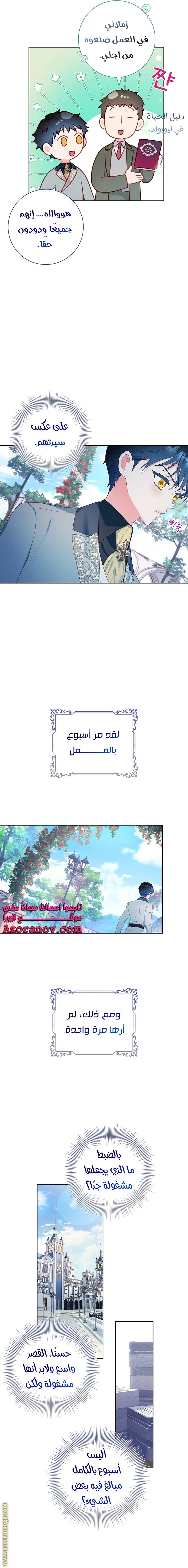 الصفحة 16