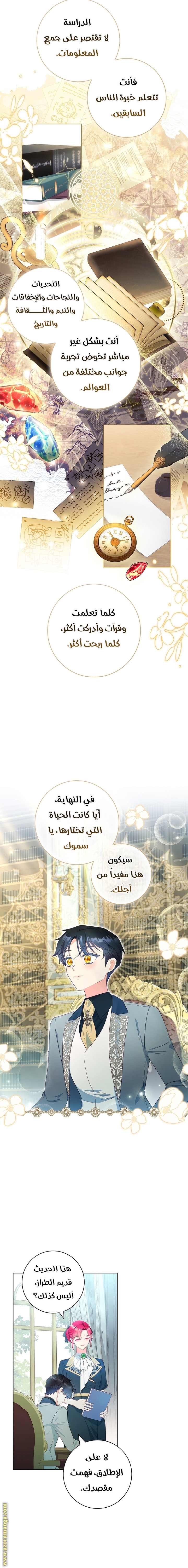الصفحة 11
